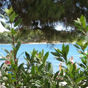  Apartment Beachfront &